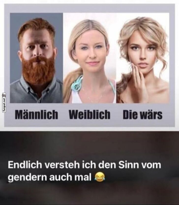 Gendern einfach erklrt, mit einem Zwinkern