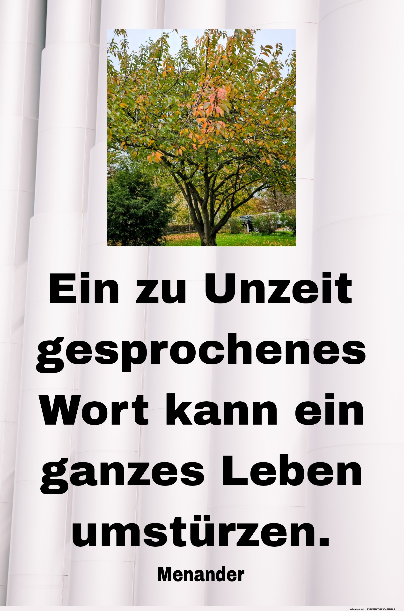 ein zu unzeit ein zu unzeit