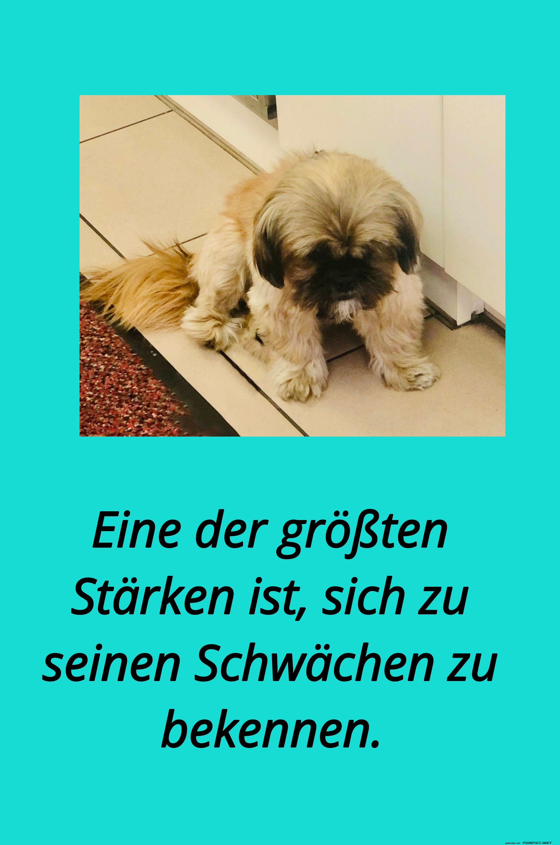 eine der größten stärken ist eine der größten stärken ist