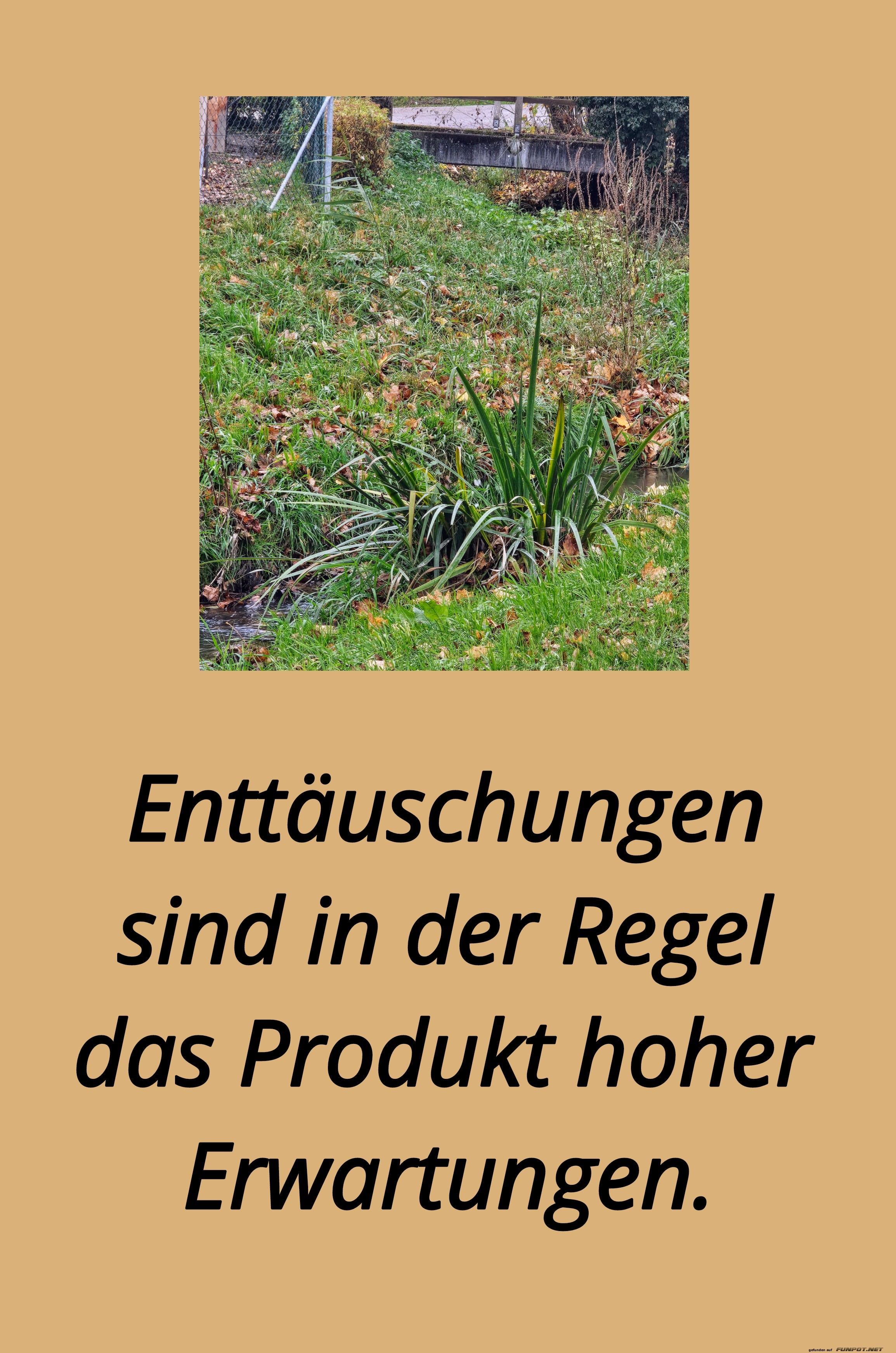 enttäuschungen sind in der regel enttäuschungen sind in der regel