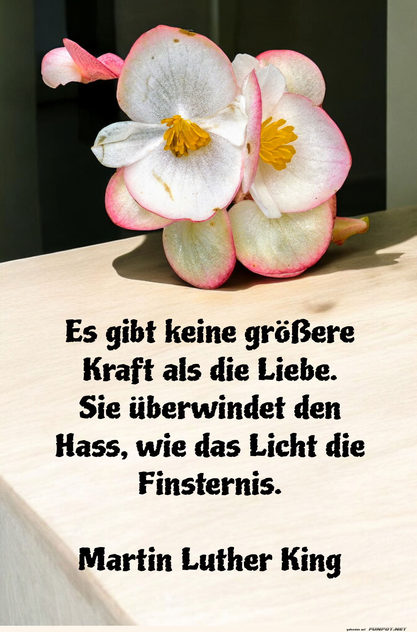 Liebe blht berall!