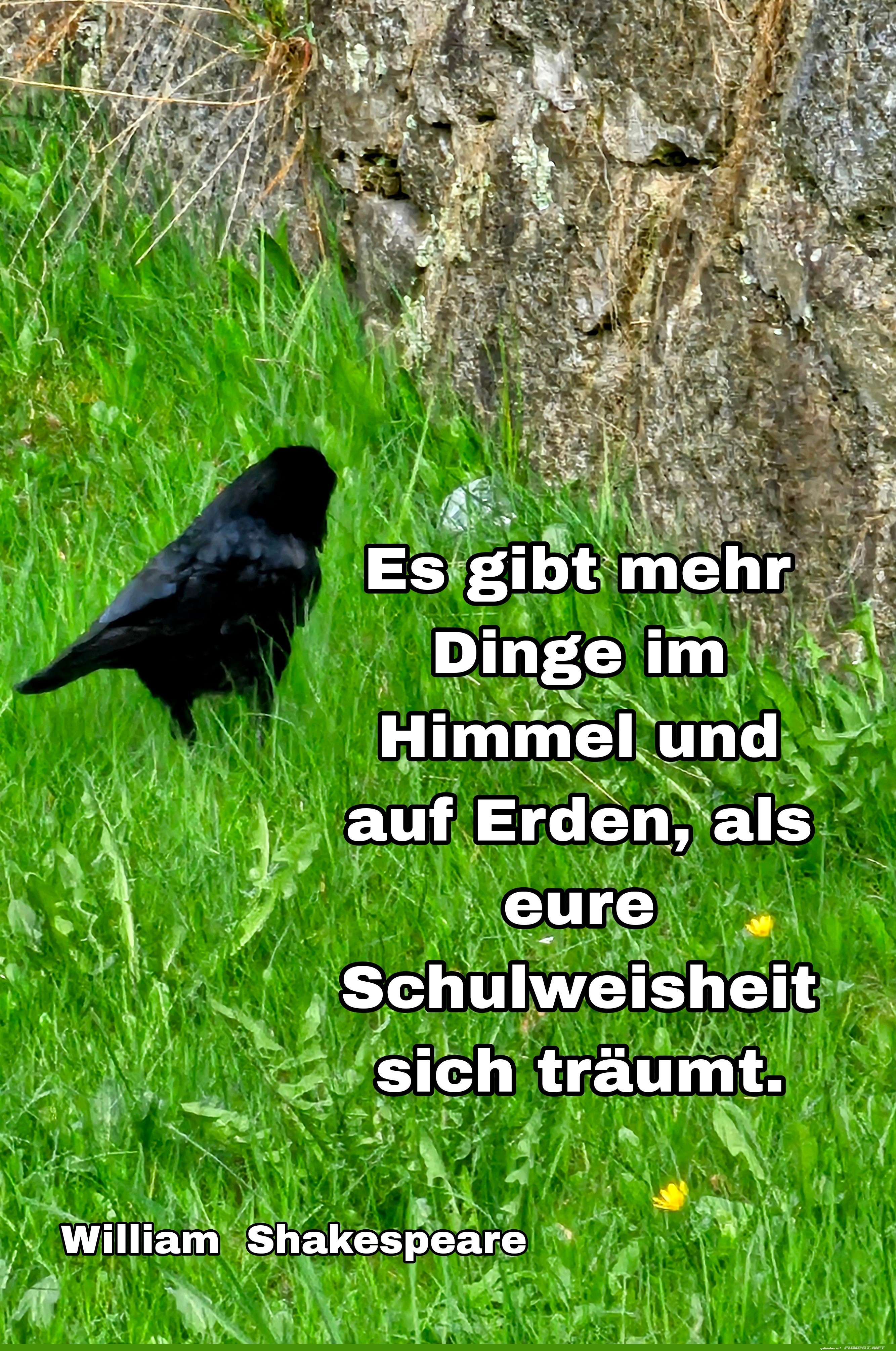 es gibt mehr dinge es gibt mehr dinge