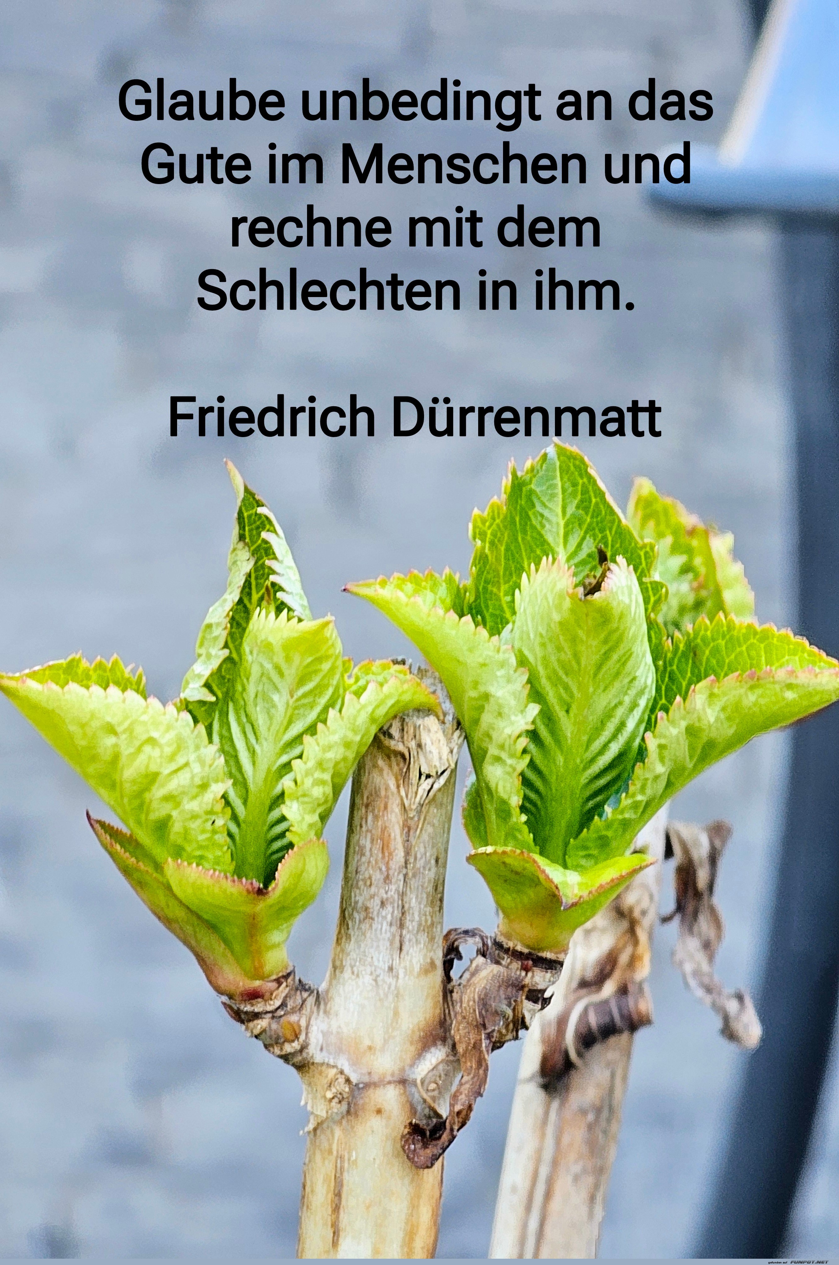 glaube unbedingt an das gute glaube unbedingt an das gute