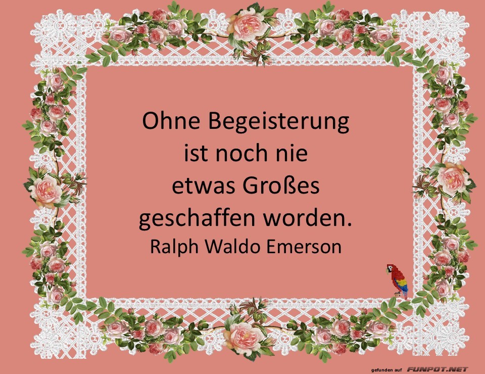 Ohne Begeisterung Ohne Begeisterung
