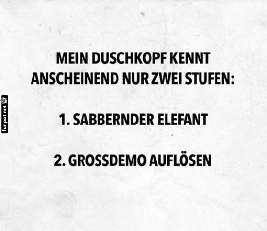 Duschen extrem: Elefant oder Demo? Duschen extrem: Elefant oder Demo?