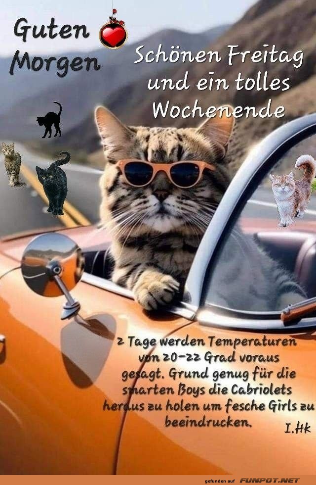 Guten Morgen und schönen Freitag Guten Morgen und schönen Freitag