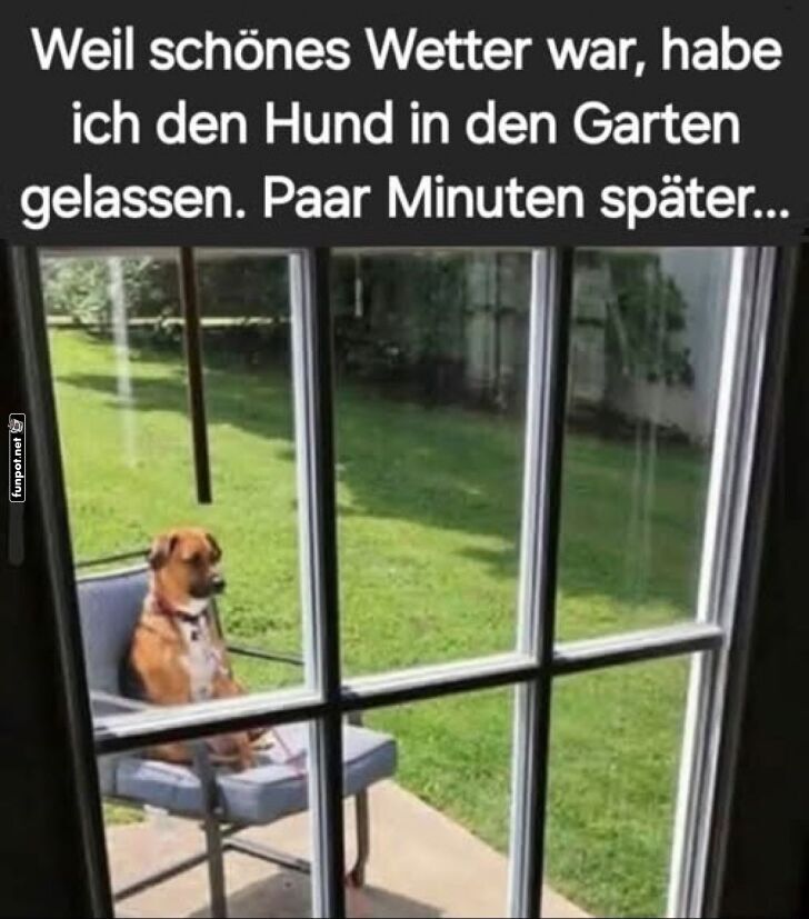 Herrschaftliches Hundeleben im Sonnenschein! Herrschaftliches Hundeleben im Sonnenschein!