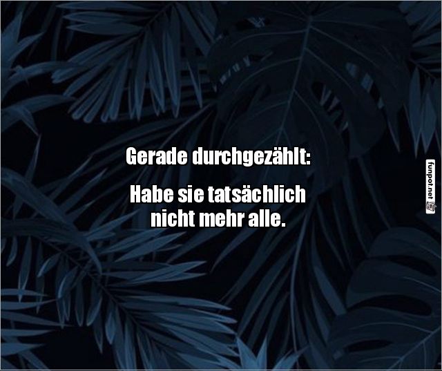 Wo sind die Schrauben los? Wo sind die Schrauben los?