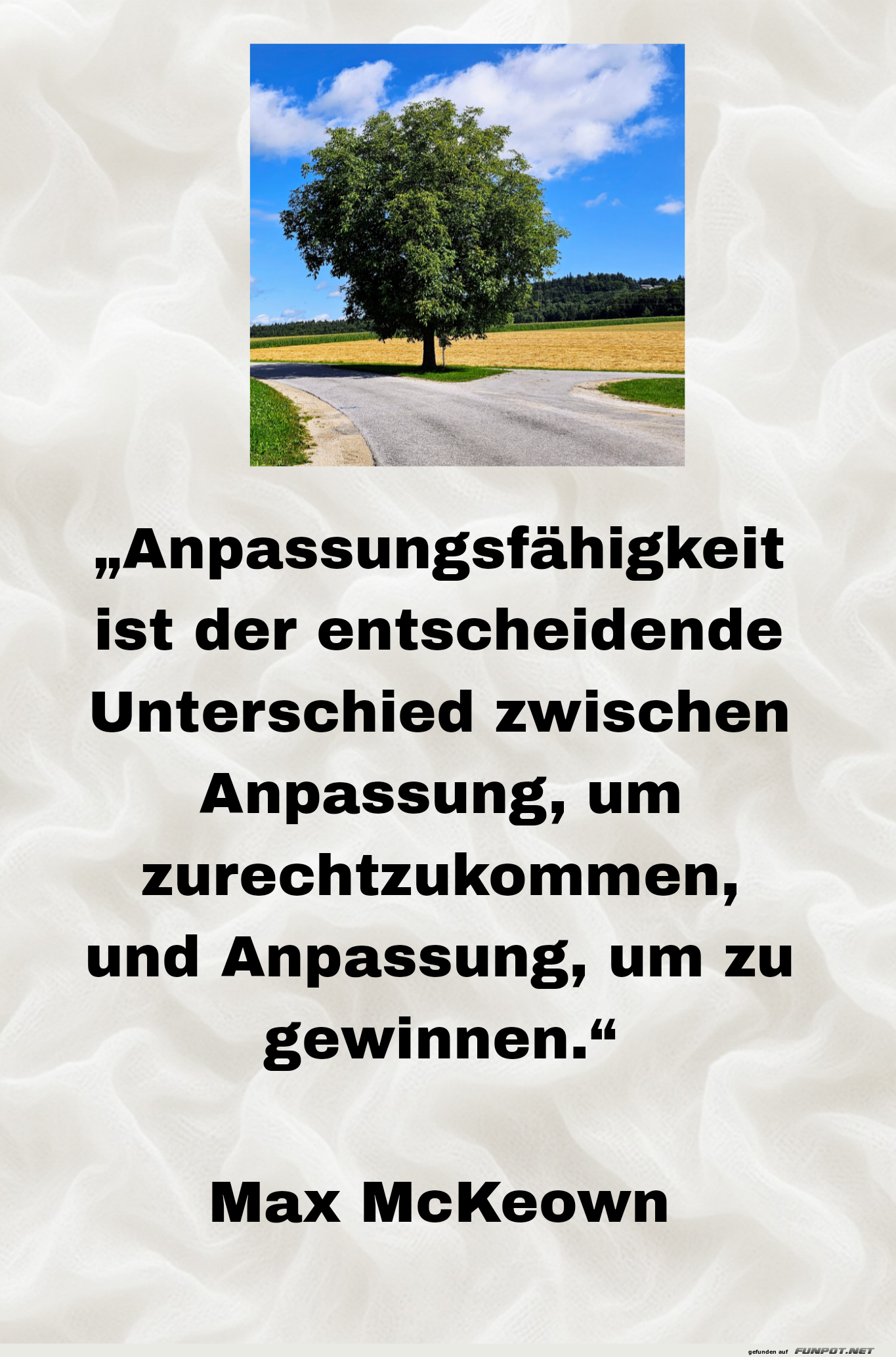 Anpassungsfähigkeit Anpassungsfähigkeit