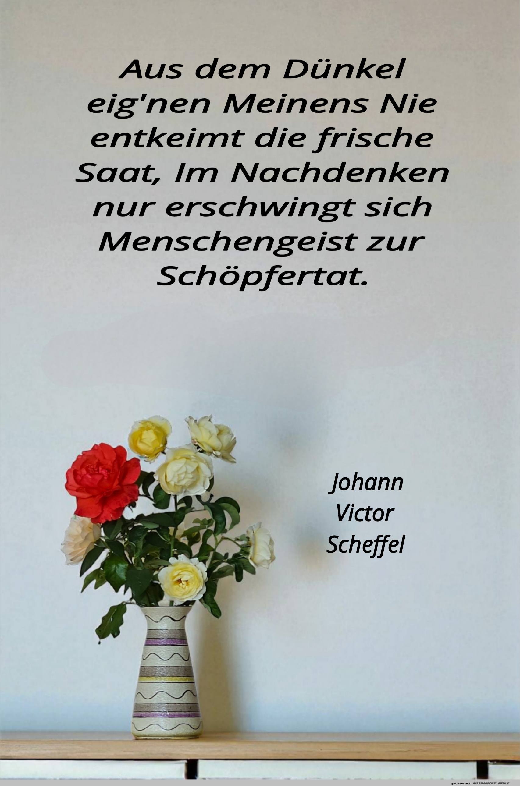 aus dem dünkel aus dem dünkel