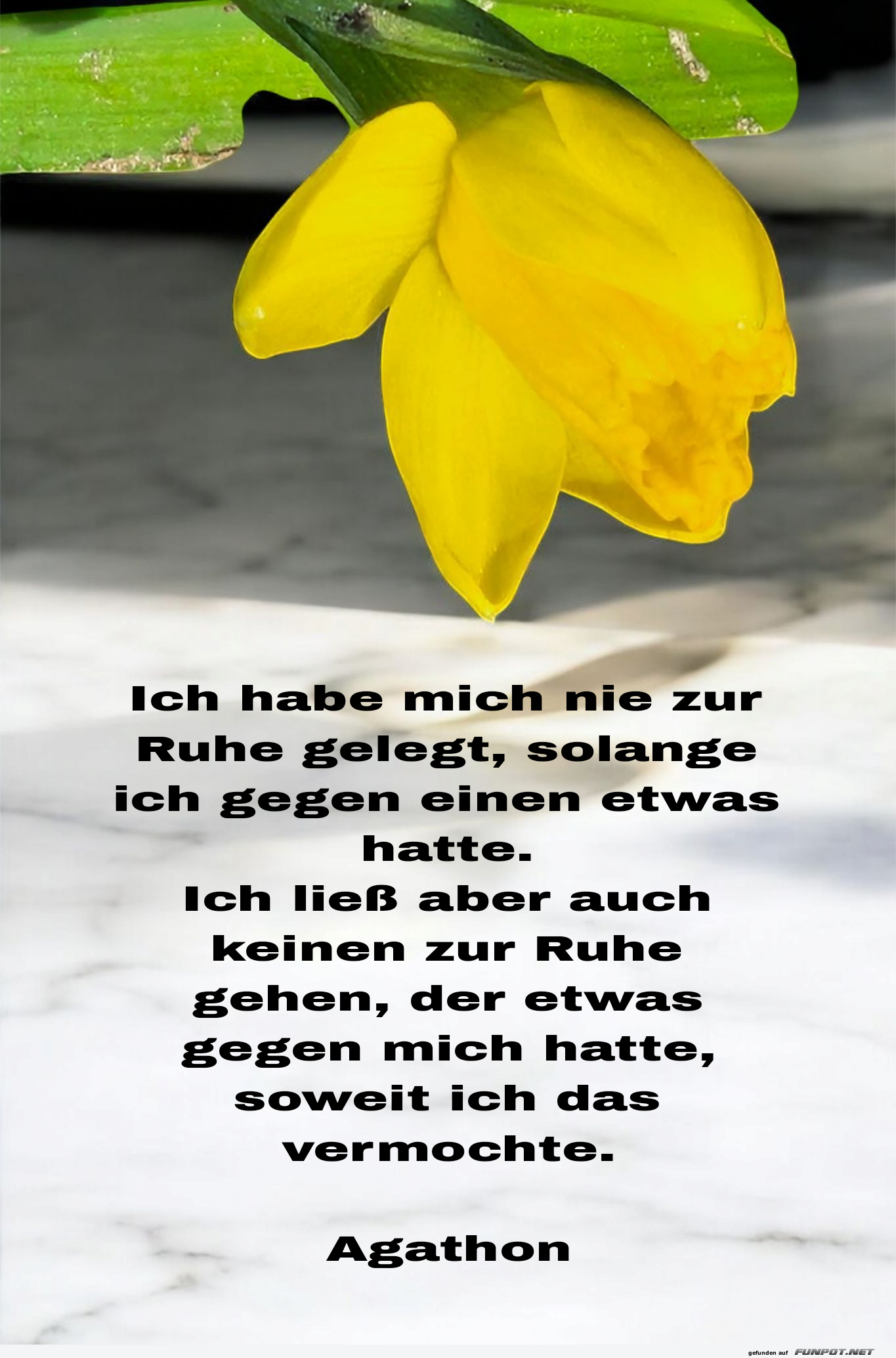 ich habe mich nie zur ruhe gelegt ich habe mich nie zur ruhe gelegt