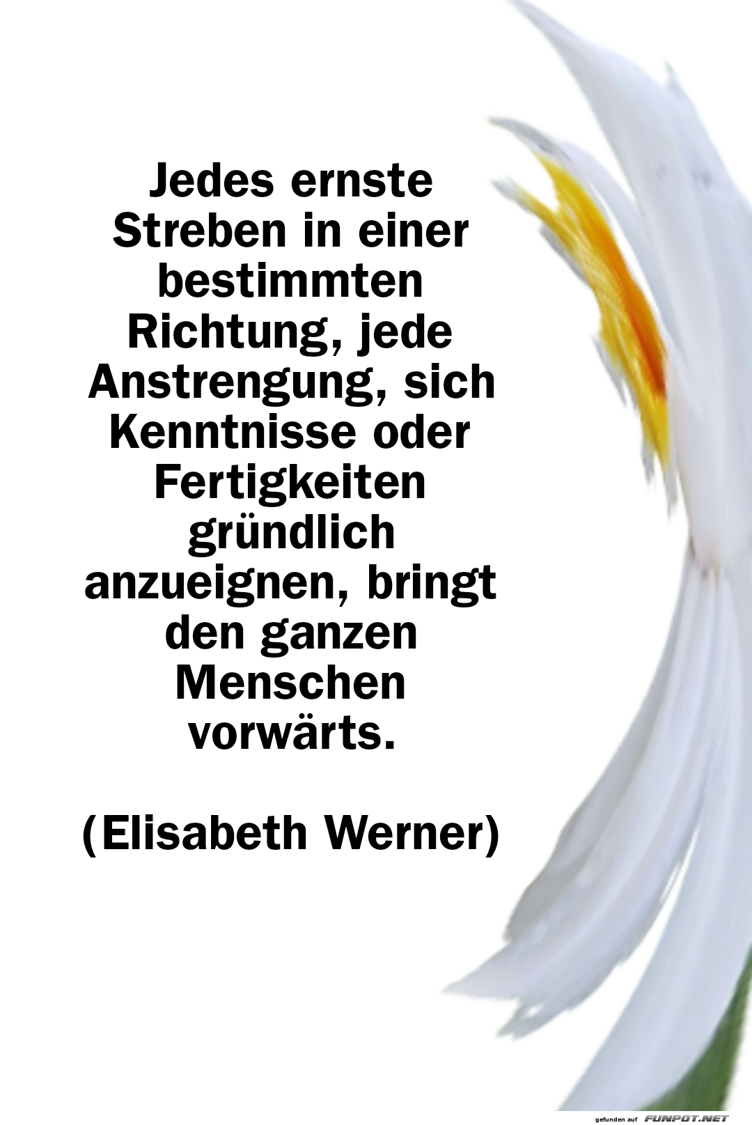 jedes ernste streben jedes ernste streben