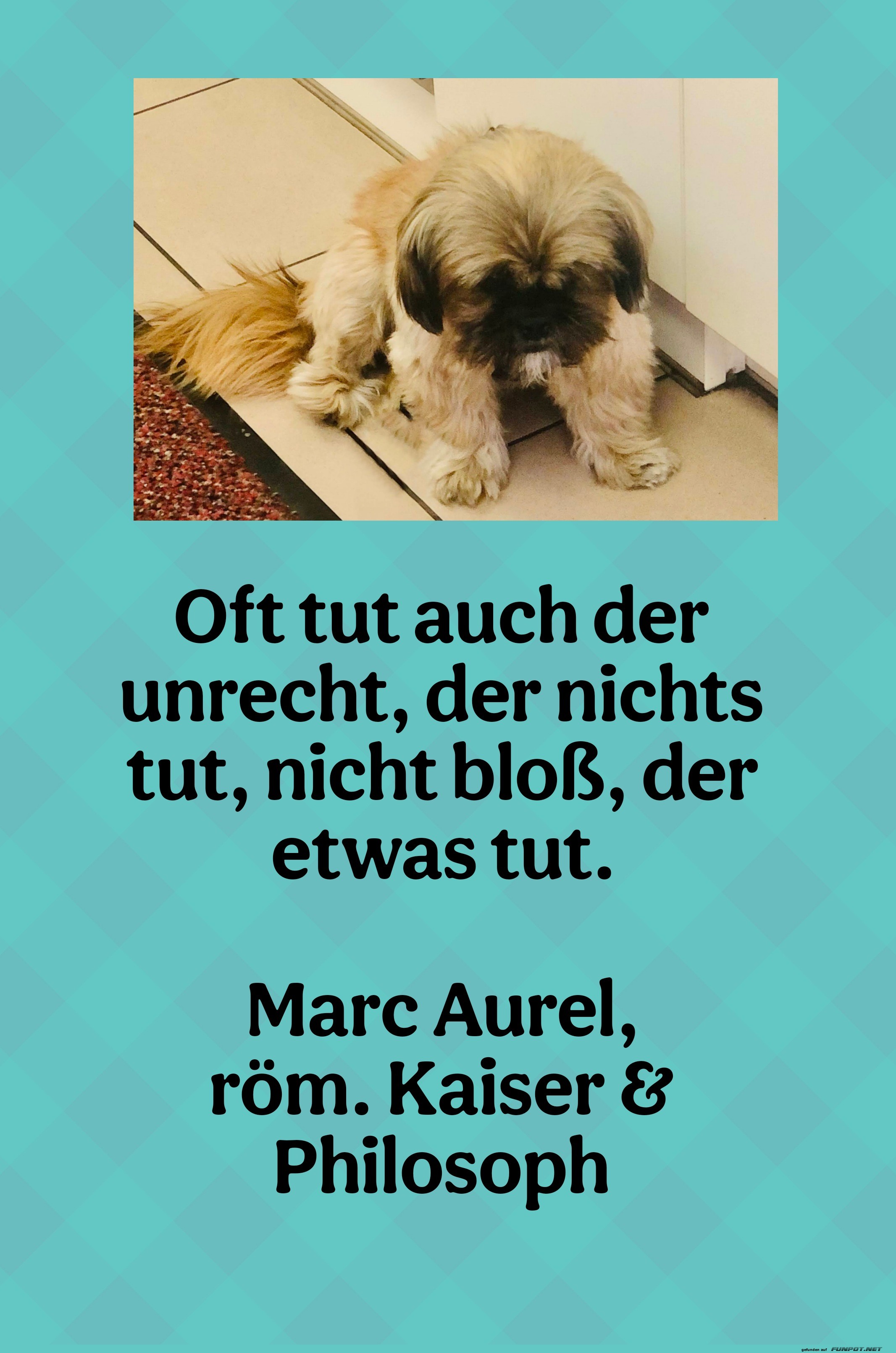 oft tut auch der unrecht oft tut auch der unrecht