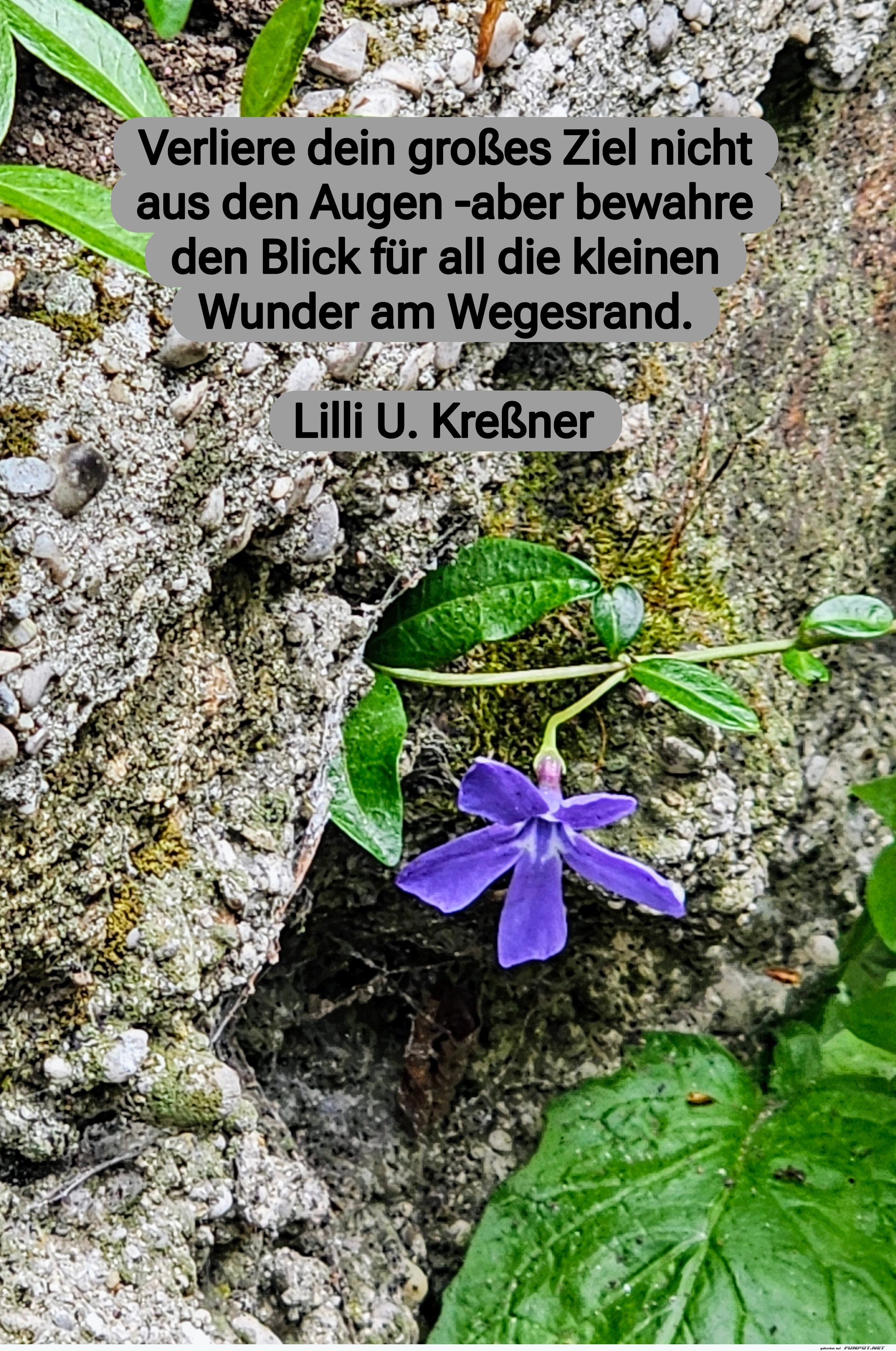 verliere dein großes ziel nicht verliere dein großes ziel nicht