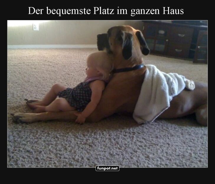 Baby's bester Rückenlehnen-Buddy Baby's bester Rückenlehnen-Buddy