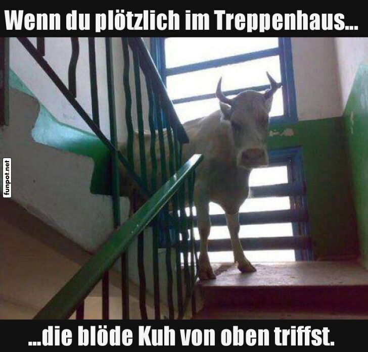Unerwarteter Treppenhausbewohner! Unerwarteter Treppenhausbewohner!