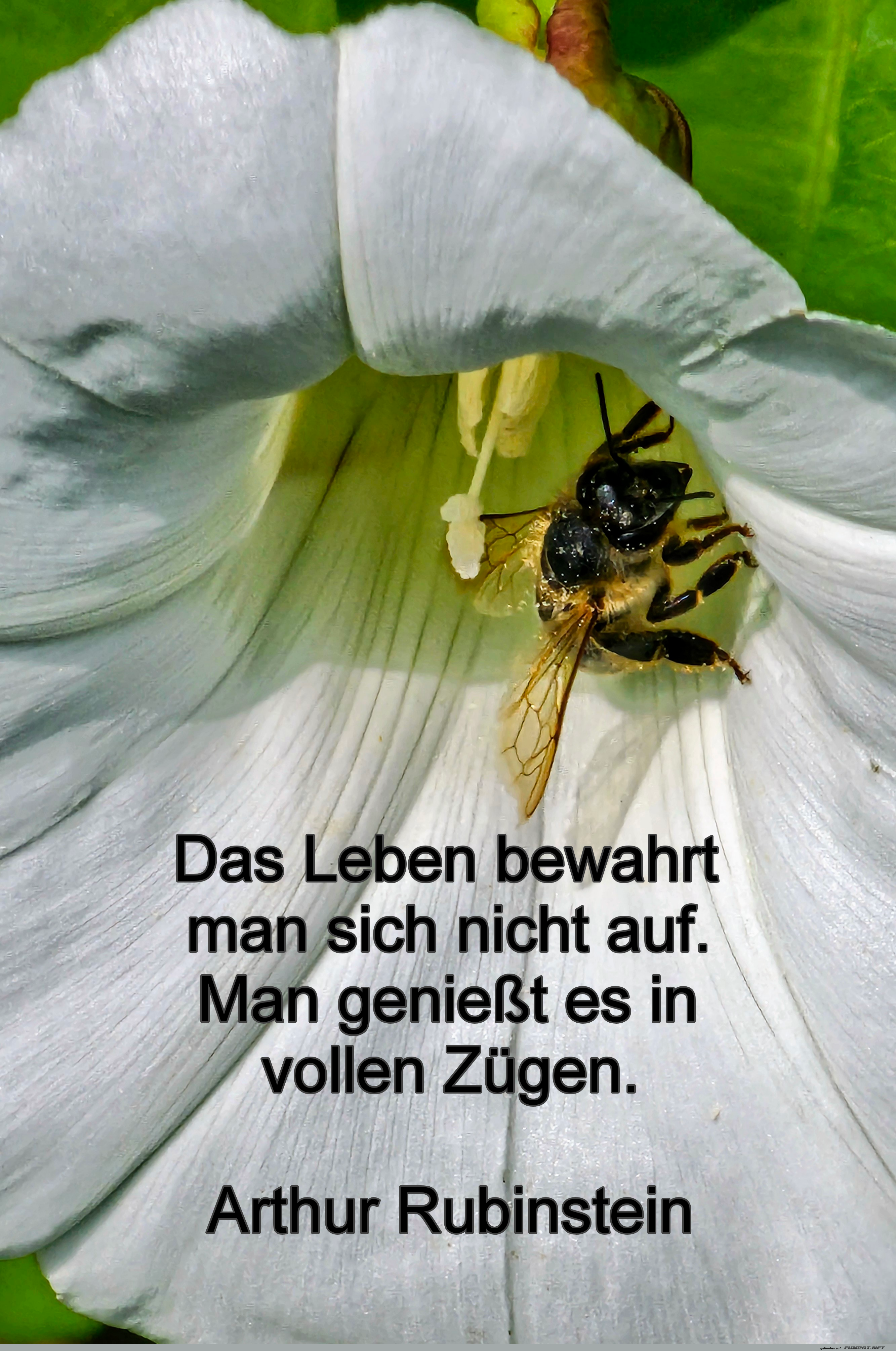 das leben bewahrt man sich nicht auf das leben bewahrt man sich nicht auf