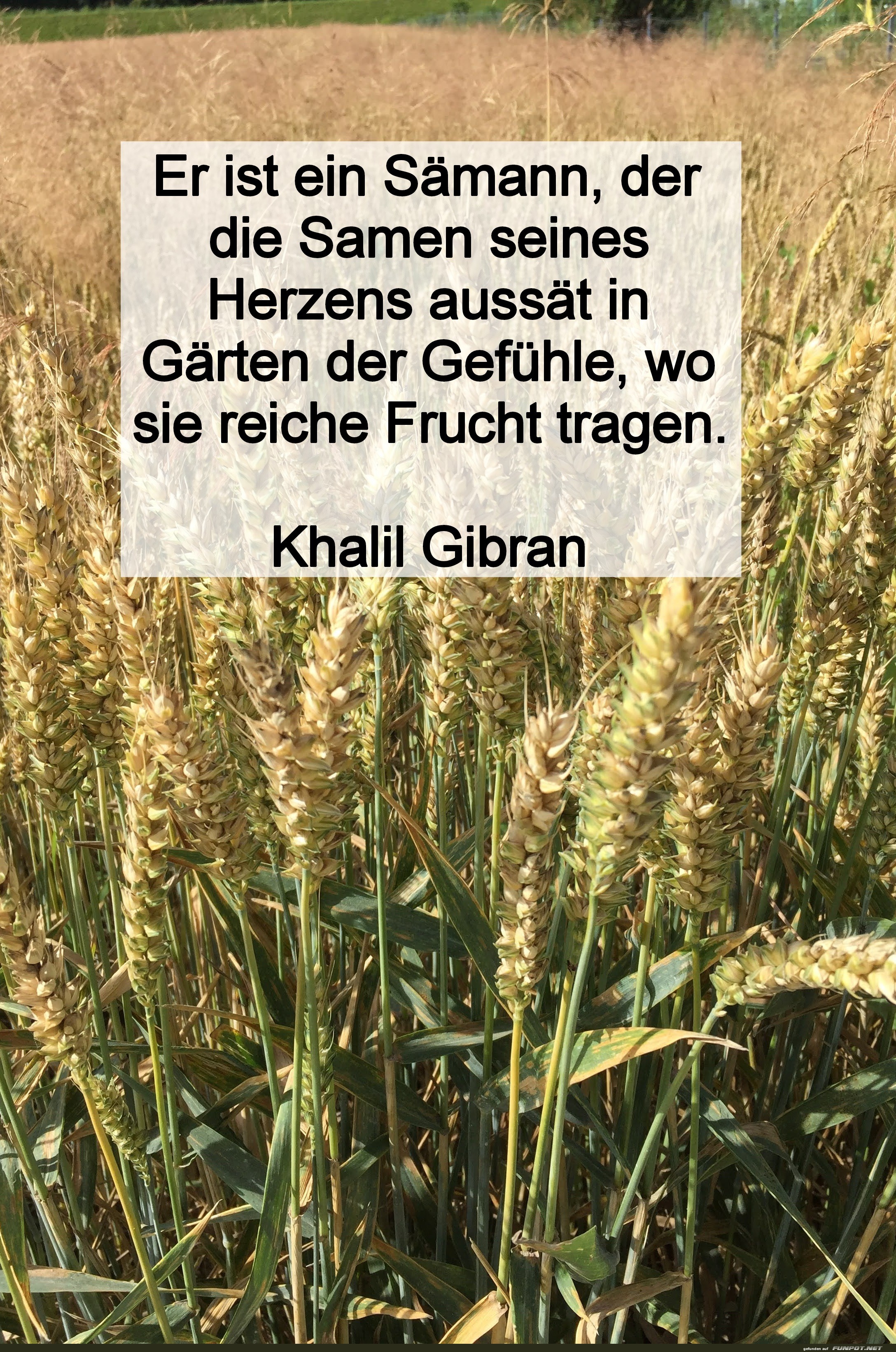 er ist ein sämann er ist ein sämann