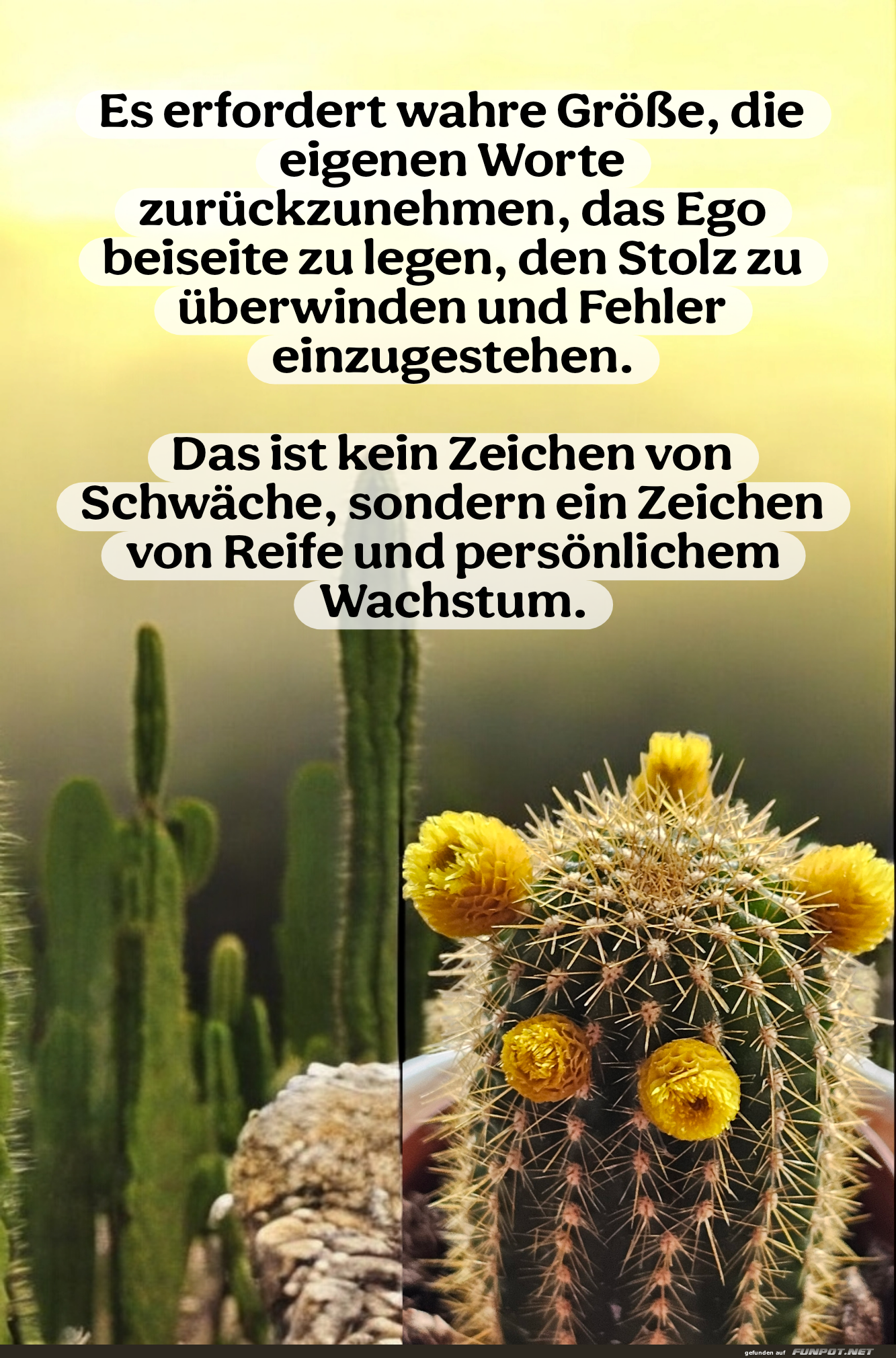 es erfordert wahre grösse es erfordert wahre grösse