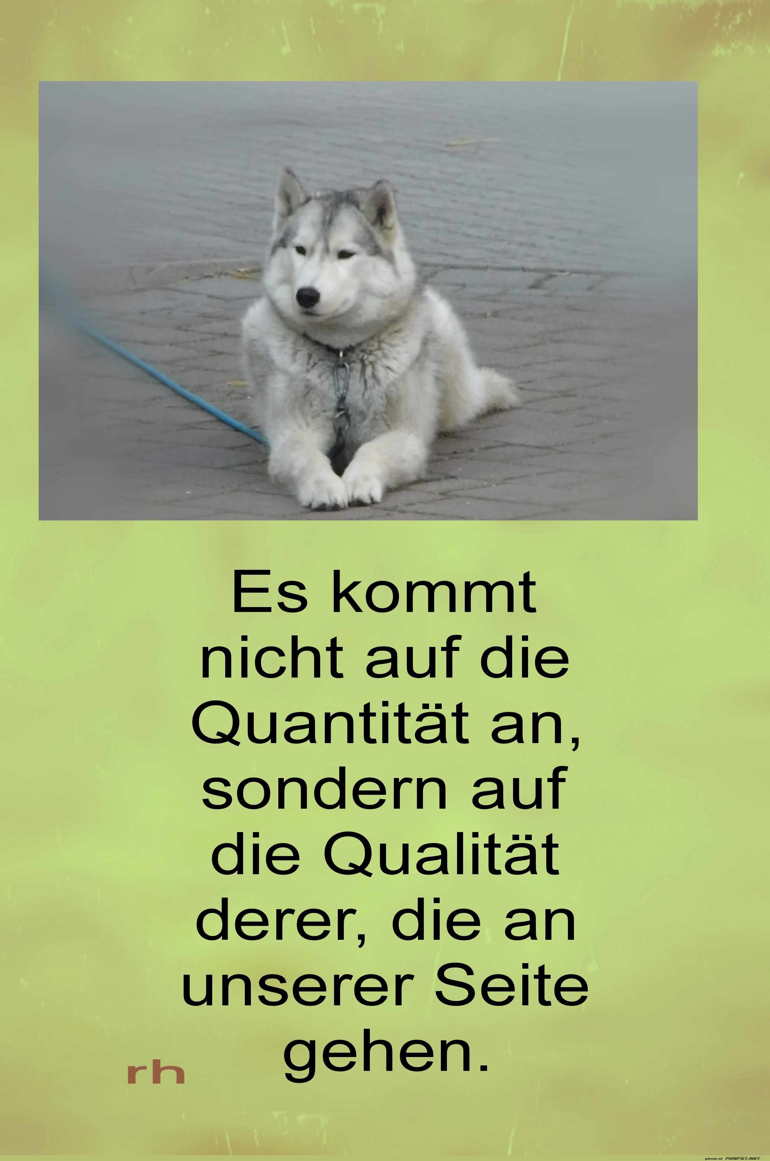 es kommt nicht auf die quantitt