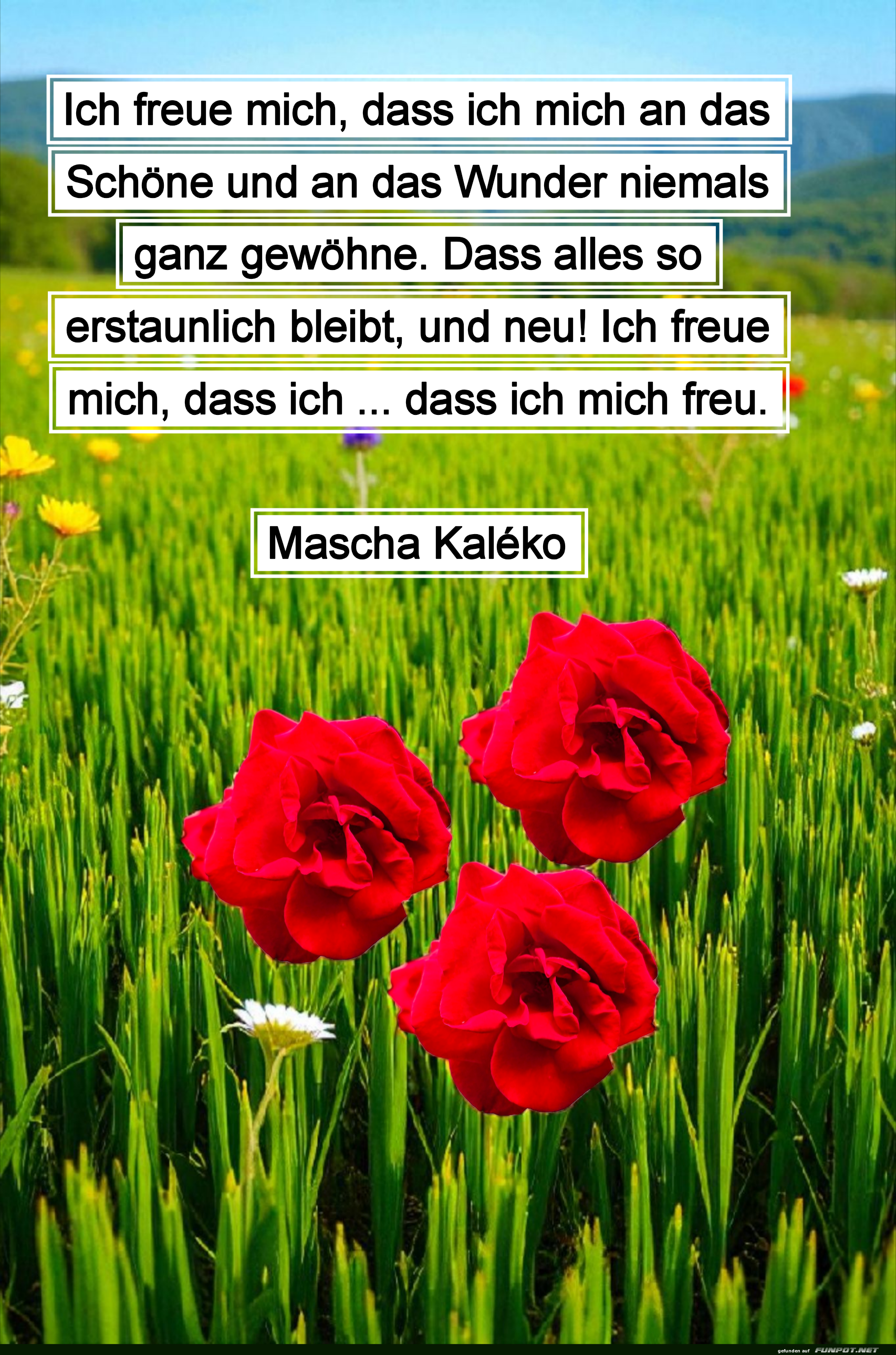 ich freue mich, dass ich mich an das schöne ich freue mich, dass ich mich an das schöne