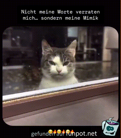 Meine Mimik