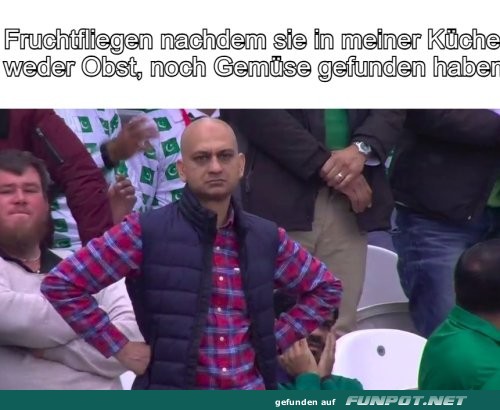 Fruchtfliegen: Aufgeben ist keine Option! Fruchtfliegen: Aufgeben ist keine Option!