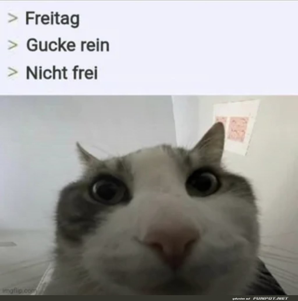 Wenn Freitag doch kein Wochenende heißt Wenn Freitag doch kein Wochenende heißt