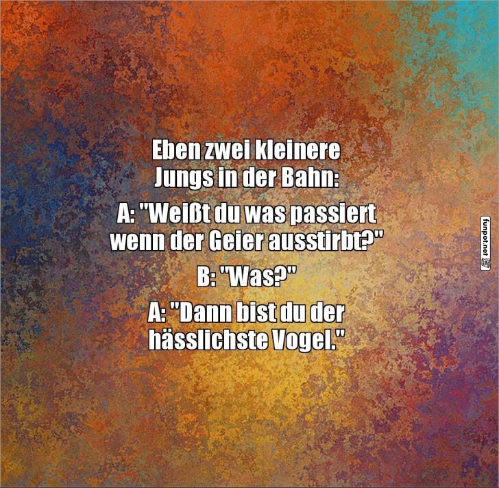 Wenn der Geier ausstirbt... Wenn der Geier ausstirbt...