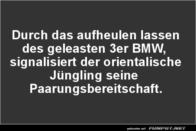 Der Paarungsruf des 3er BMWs Der Paarungsruf des 3er BMWs
