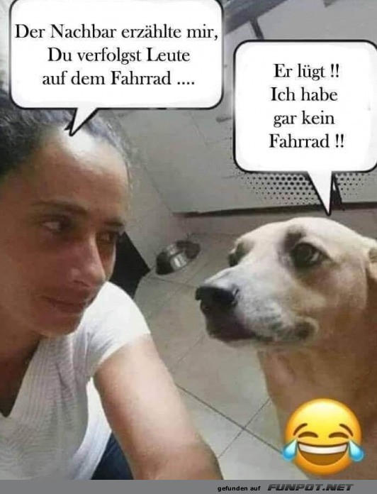 Kein Fahrrad, keine Probleme! Kein Fahrrad, keine Probleme!