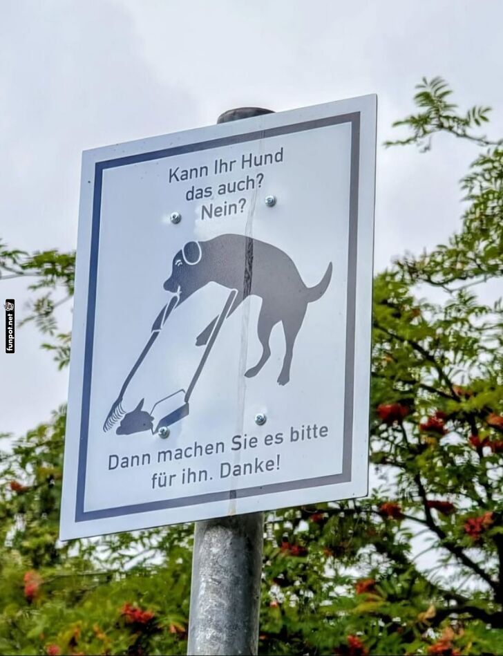 Selbstständige Hunde? Nein, danke! Selbstständige Hunde? Nein, danke!