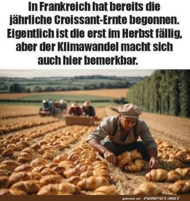 Croissant-Ernte: Klimawandel im Brotkorb Croissant-Ernte: Klimawandel im Brotkorb