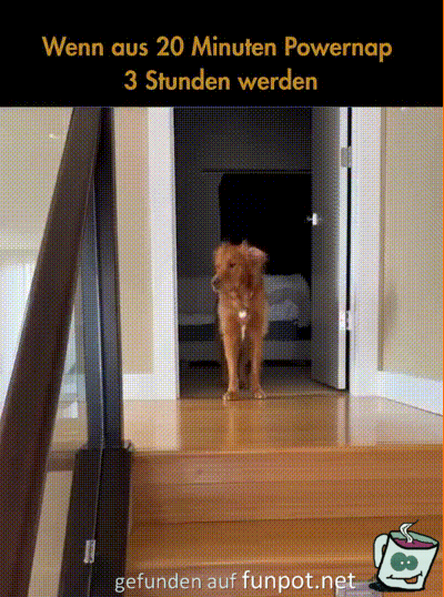 Ich nach 3 Stunden Powernap Ich nach 3 Stunden Powernap