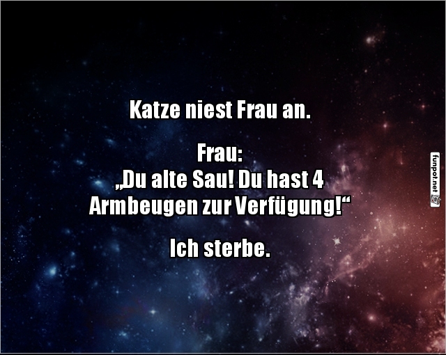 Katzennieser trifft menschliche Empörung! Katzennieser trifft menschliche Empörung!