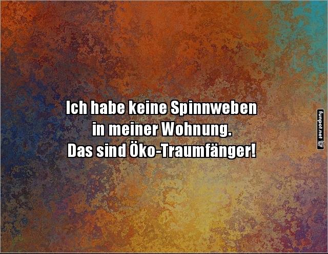 Öko-Traumfänger statt Spinnweben! Öko-Traumfänger statt Spinnweben!
