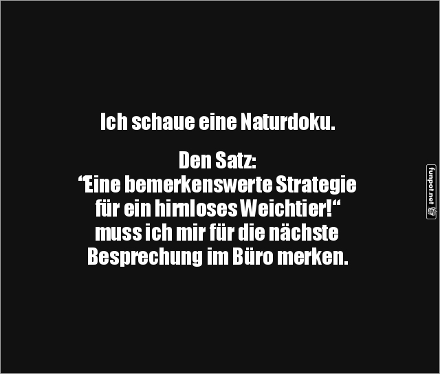 Naturdoku für Büro-Survival-Tipps Naturdoku für Büro-Survival-Tipps