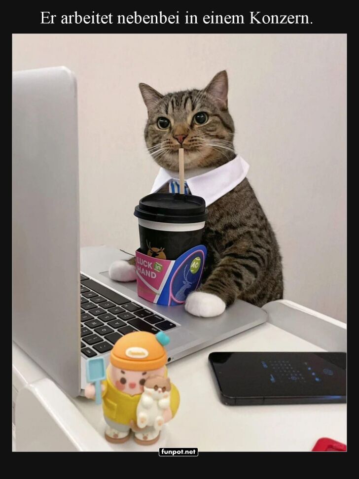 Cat-CEO: Kaffee ohne Krallen Cat-CEO: Kaffee ohne Krallen