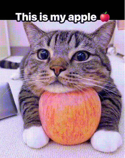Die Katze und ihr Apfel