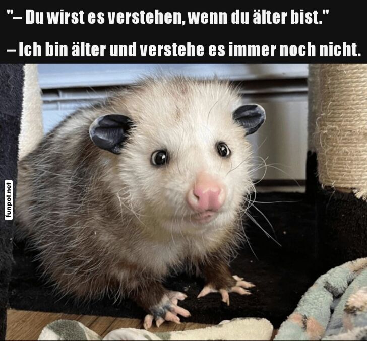 Wenn das Älterwerden Fragen nicht klärt Wenn das Älterwerden Fragen nicht klärt