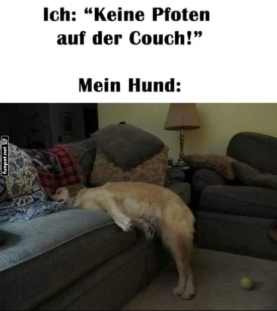 Wenn Pfotenregeln kreativ interpretiert werden!