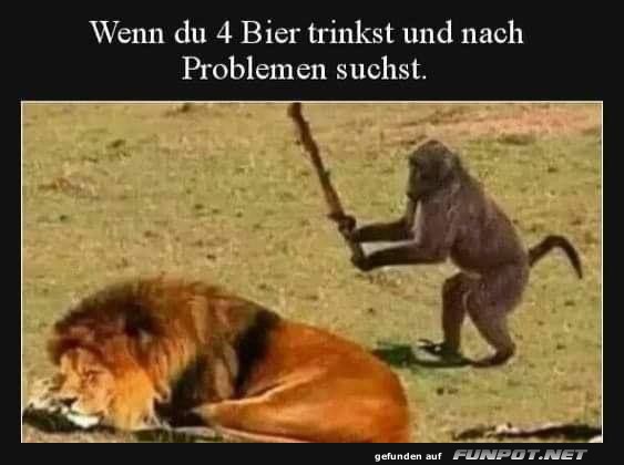 Mutiger Affe sucht Ärger mit dem König der Tiere Mutiger Affe sucht Ärger mit dem König der Tiere