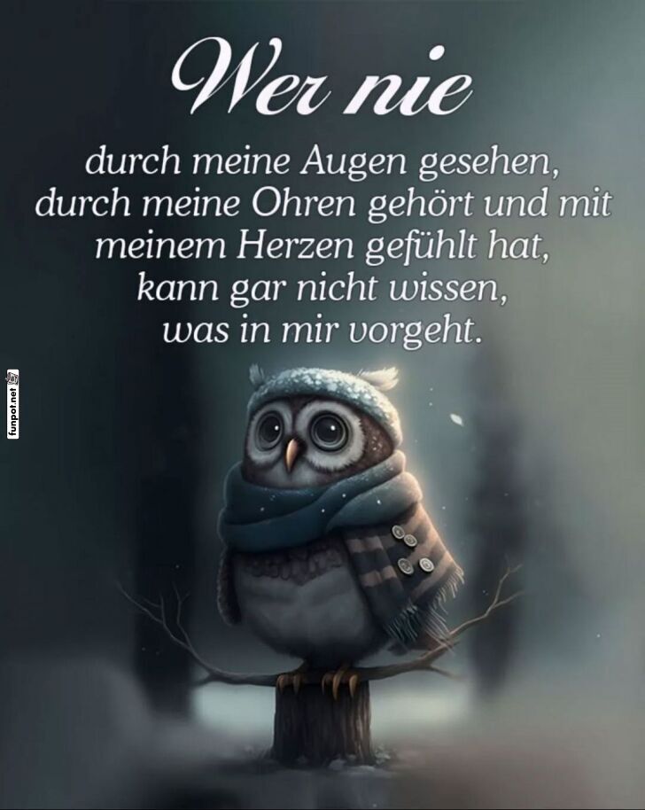 Eulenpoesie für kalte Wintertage Eulenpoesie für kalte Wintertage