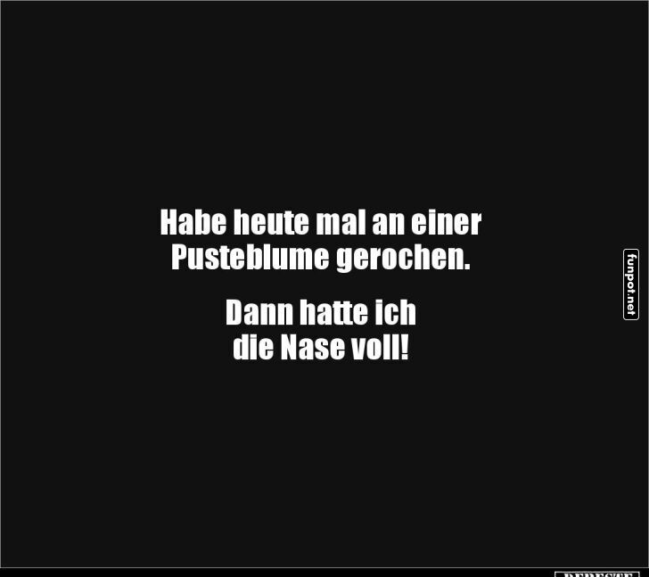 Pusteblume und Niesattacke! Pusteblume und Niesattacke!
