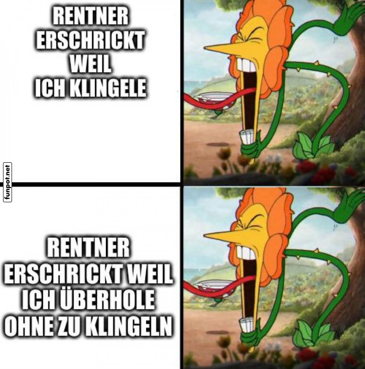 Die Klingel-Krise im Blumenland