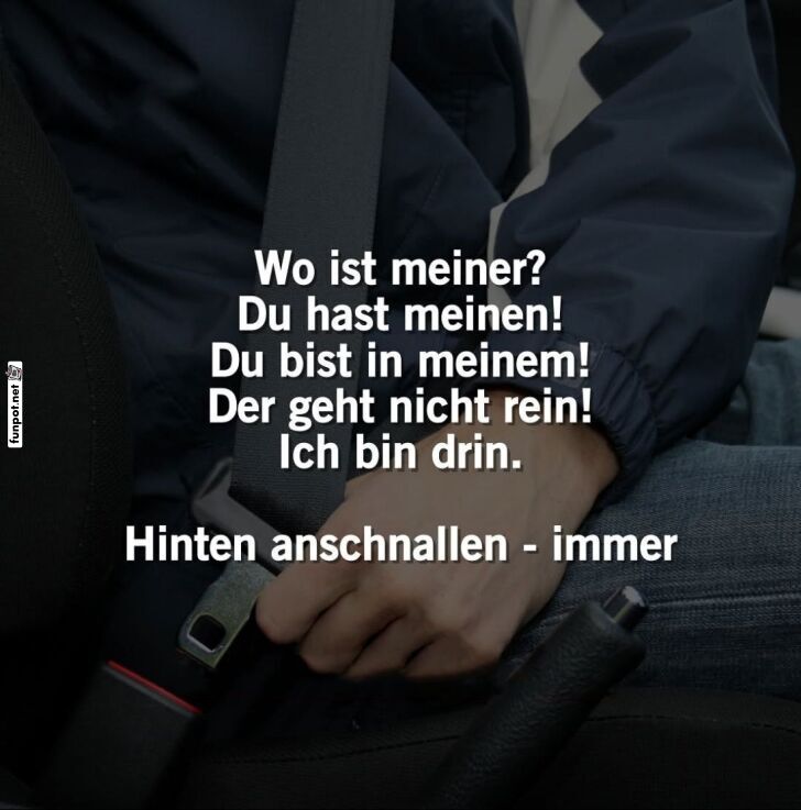 Gurt-Chaos auf der Rückbank Gurt-Chaos auf der Rückbank