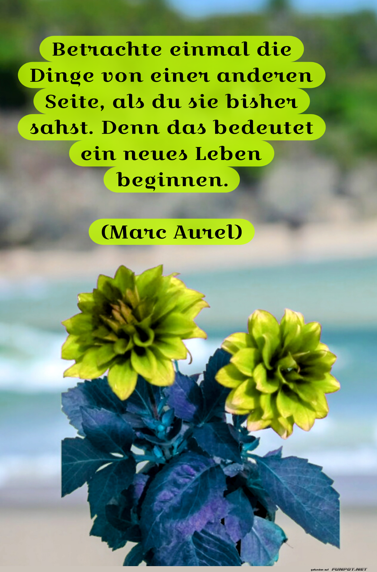 betrachte einmal die dinge betrachte einmal die dinge