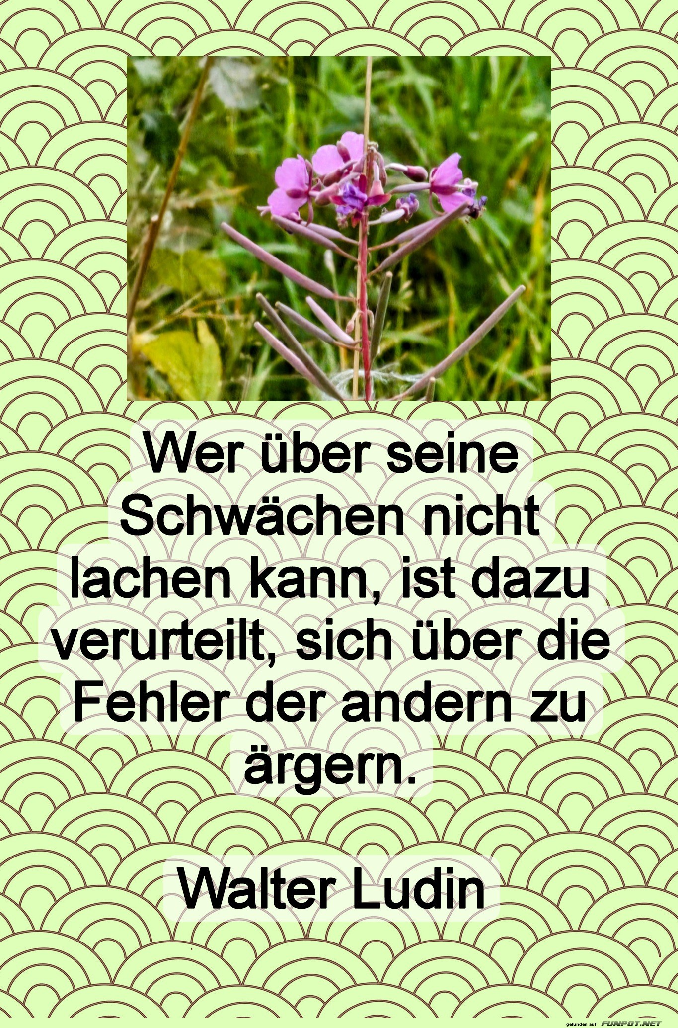 wer über seine schwächen wer über seine schwächen