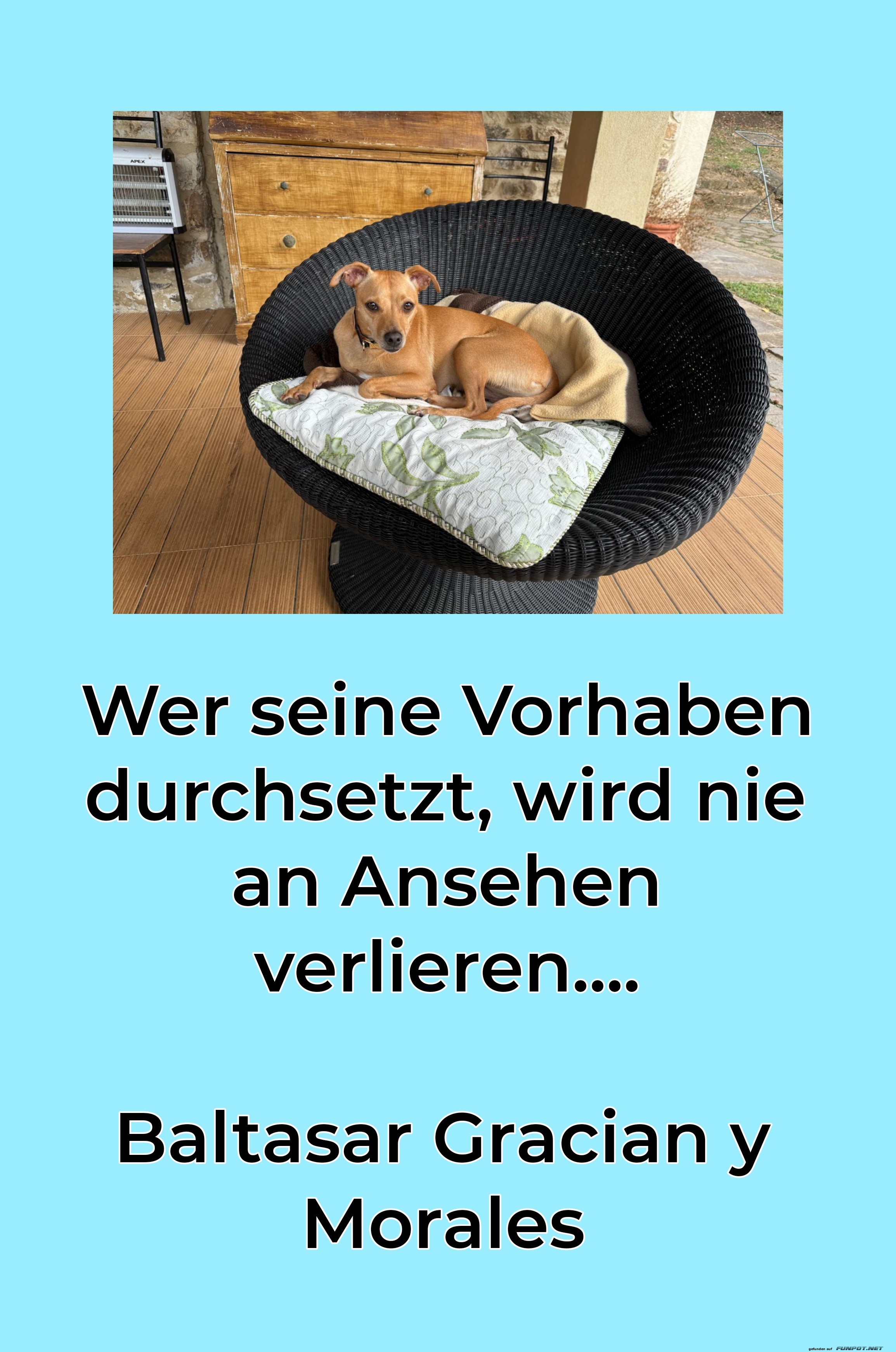wer sein vorhaben wer sein vorhaben