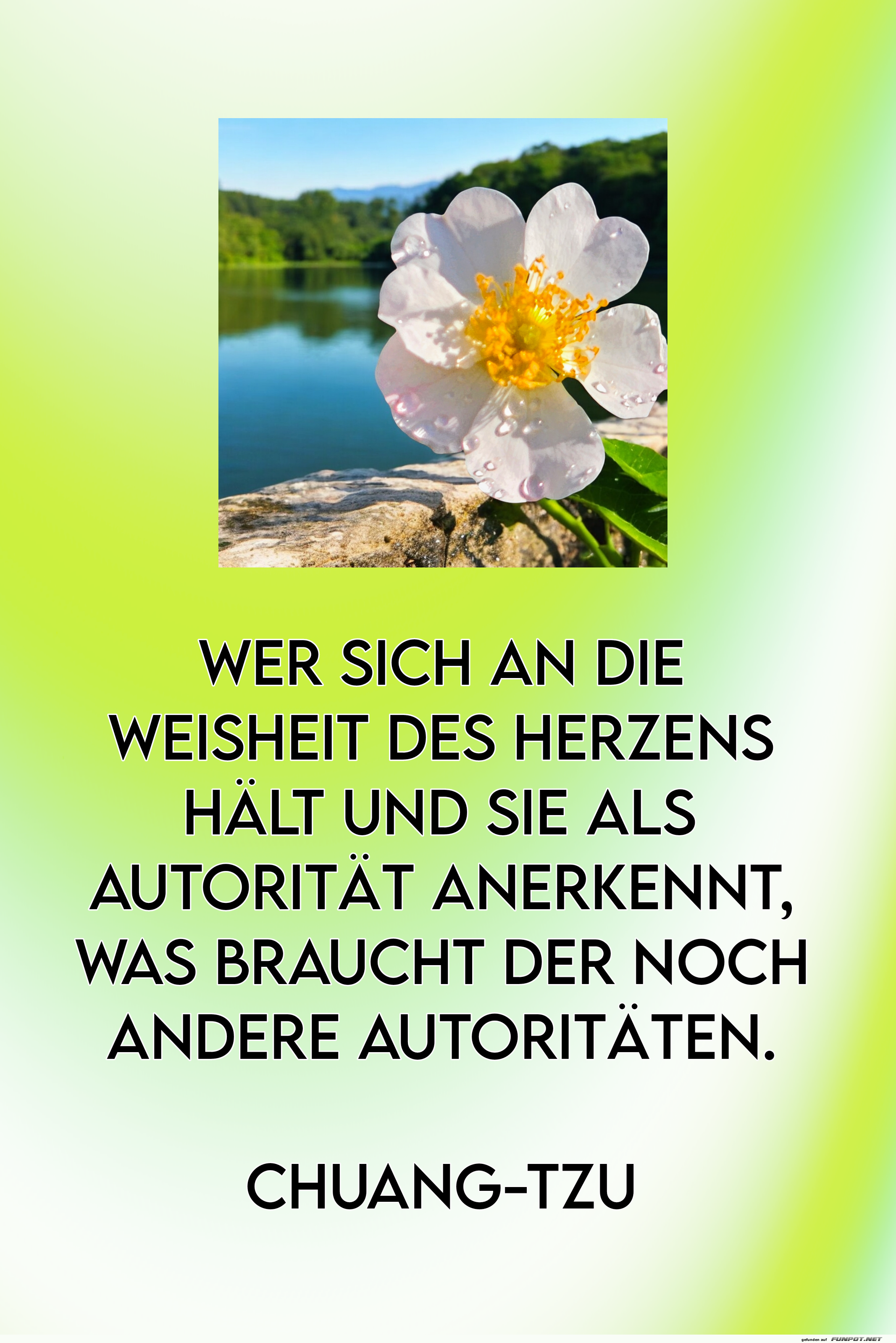 wer sich an die weisheit wer sich an die weisheit